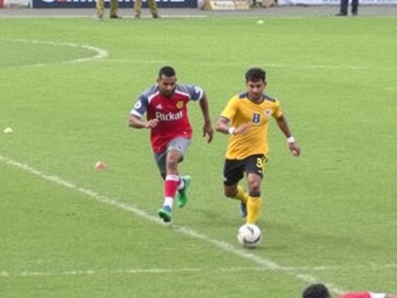 Stadium management services